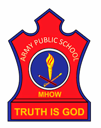 Army Public school